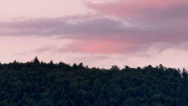 Die Landschaft Des Fichtenwaldes Den Karpaten Nationalpark Skolivski Beskidy Gebiet — Stockvideo