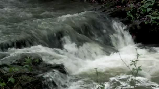 Zblízka Malé Rychlé Řeky Lese Národní Park Skolivski Beskidy Lvov — Stock video