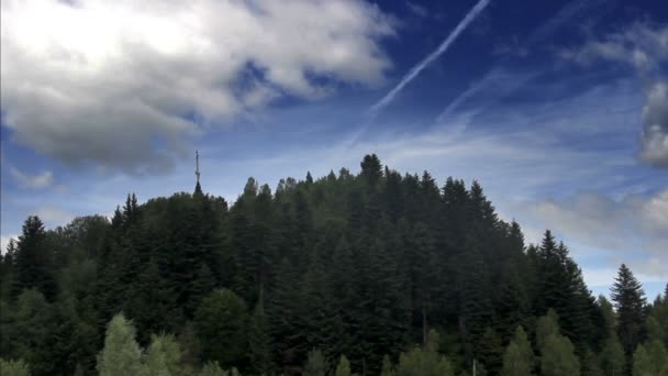 Ett Landskap Granskog Karpaterna Berg Nationalpark Skolivski Beskidy Lviv Regionen — Stockvideo