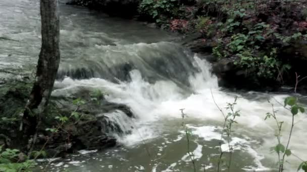 Zbliżenie Małej Szybkiej Rzeki Lesie Park Narodowy Skoliwski Beskidy Obwód — Wideo stockowe