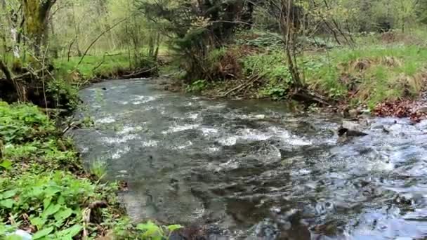 Zbliżenie Małej Szybkiej Rzeki Lesie Park Narodowy Skoliwski Beskidy Obwód — Wideo stockowe