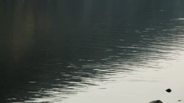 Nehrin dalgalı suyuna yakın çekim