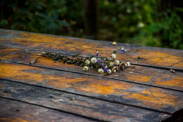 Zbliżenie Małego Suszonego Bukietu Dzikich Kwiatów Łąki Stole Lesie — Zdjęcie stockowe