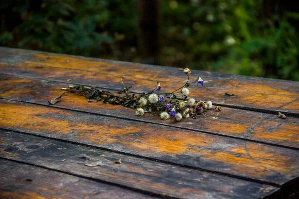 Gros Plan Petit Bouquet Séché Fleurs Des Prés Sauvages Sur — Photo