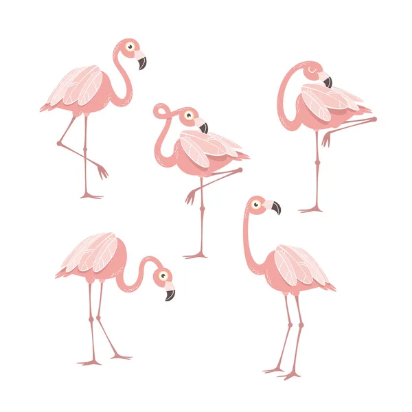 Cartoon pink flamingo set. Design elements for fabric and decor. — Stock Vector