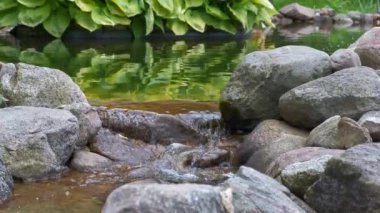 Kayaların içinden saydam bir su akışı akar. Küçük gölet suyu düşüyor. Yeşil yapraklar havuz ayna yüzeyine yansır. 