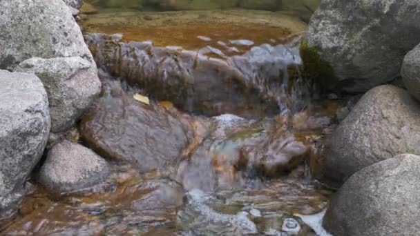 Ruisseau Transparent Eau Coule Travers Les Roches Petites Chutes Eau — Video