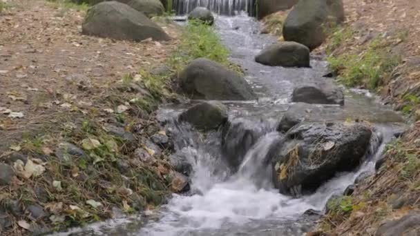 Una Corriente Transparente Agua Fluye Través Las Rocas Cascadas Caídas — Vídeo de stock