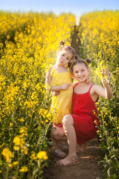 Meninas felizes no campo de sementes de colza — Fotografia de Stock