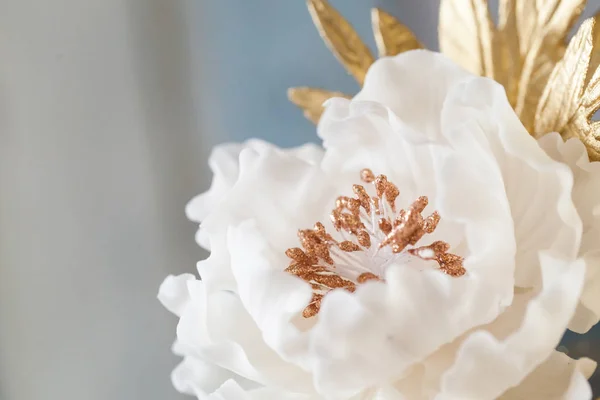 Elegante flor de azúcar con estambres de oro —  Fotos de Stock