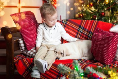 Yakışıklı bir labrador köpek yavrusu holding