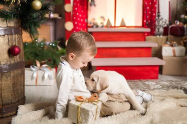 Yakışıklı bir labrador köpek yavrusu ile çalış