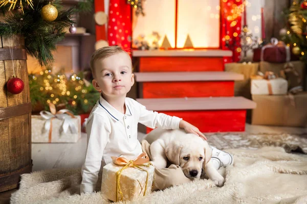 Bonito menino brinca com um filhote de cachorro labrador — Fotografia de Stock
