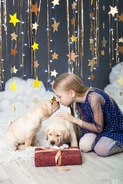 Menina com filhotes em um estúdio com uma decoração estrelas de ouro — Fotografia de Stock