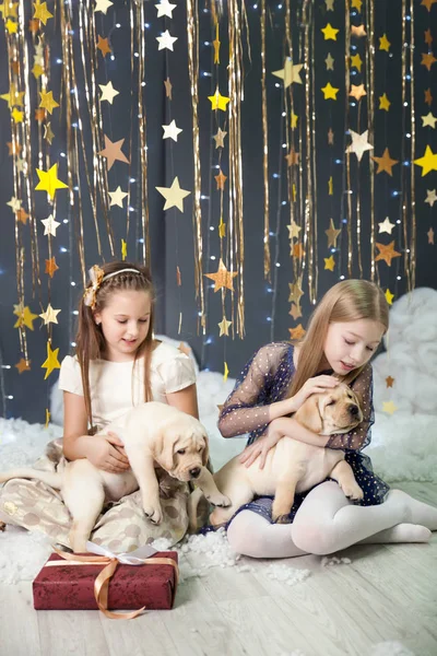 Girla com filhotes em um estúdio com uma decoração estrelas de ouro — Fotografia de Stock