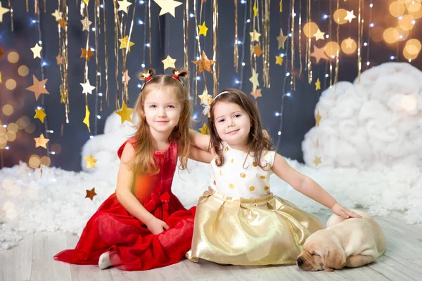 Girla con cachorros en un estudio con una decoración de estrellas doradas —  Fotos de Stock