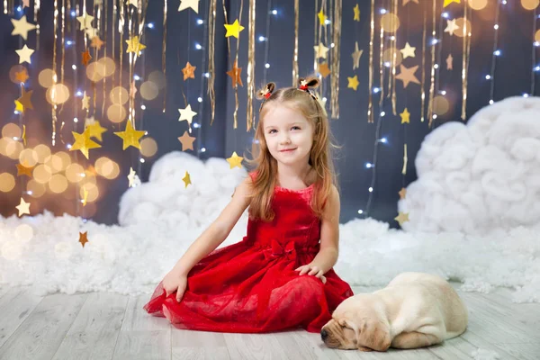 Dziewczyna ze szczeniakiem w studio ze złotymi gwiazdkami wystrój — Zdjęcie stockowe