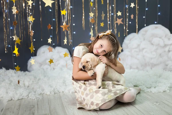 Stüdyoda altın yıldızlı bir dekoru olan bir köpek yavrusu