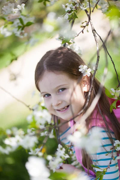 Çiçek açan kiraz ağacının bahçesinde tatlı bir kız. — Stok fotoğraf
