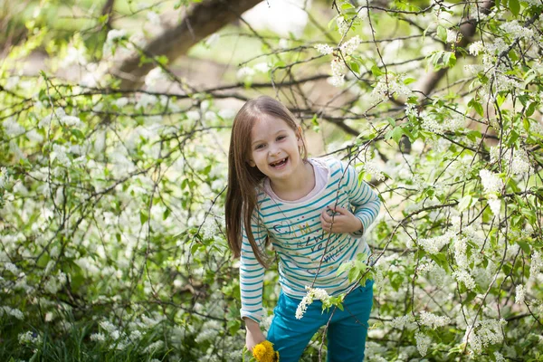 Cute girl w kwitnącym ptak wiśnia drzewo ogród — Zdjęcie stockowe