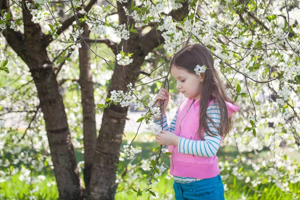 Menina bonito em um jardim de árvore de cereja florescendo — Fotografia de Stock