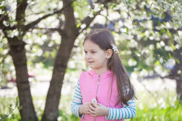 Niña linda en un floreciente jardín de cerezos. —  Fotos de Stock