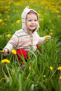 Karahindiba otlağında tatlı bir kız
