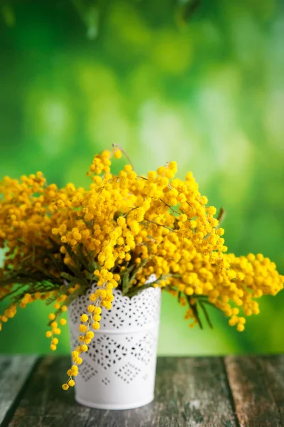 Ramo de flores de acacia mimosa para el día de la madre —  Fotos de Stock