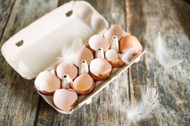 Kırık yumurta kabukları bir karton yumurta raf ve kuş tüylü