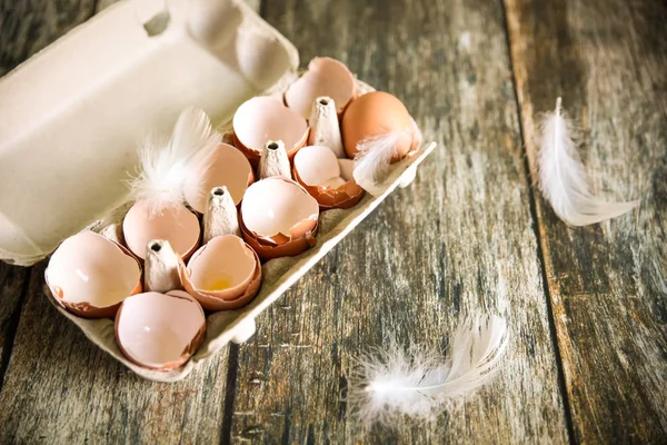 Broken egg shells in a cardboard egg rack and bird feathers