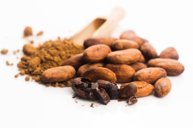 Kakao fasulyesi ve kakao tozu.