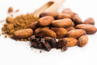 Kakao fasulyesi ve kakao tozu.