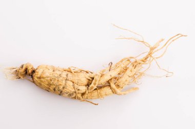 Ginseng kök ekstresi