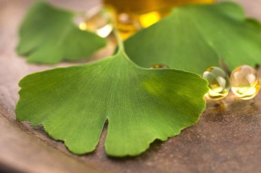 Gerekli yağlı ginkgo
