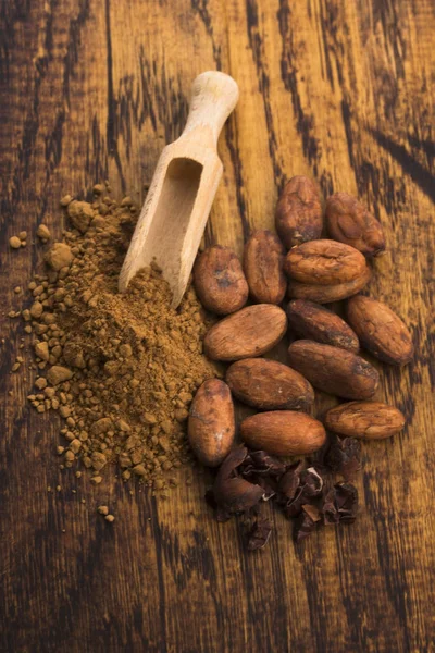 Cacao Beans Cacao Powder Spoon — Stock Photo, Image