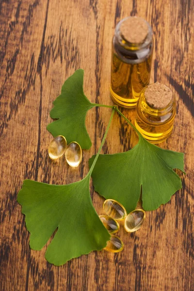 Ginkgo Met Etherische Olie — Stockfoto