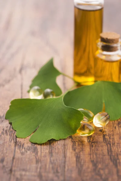 Ginkgo Con Olio Essenziale — Foto Stock