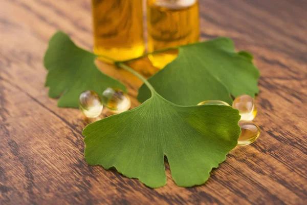 Ginkgo Met Etherische Olie — Stockfoto