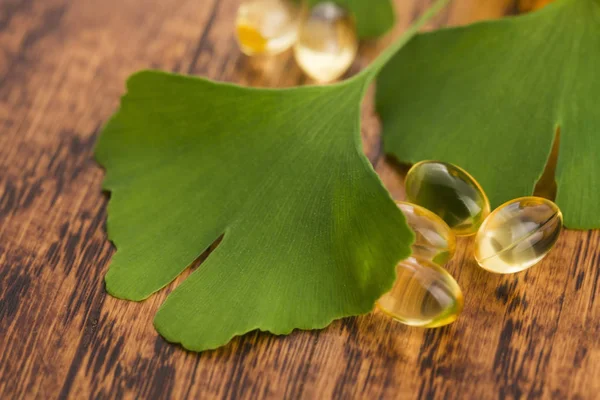 Ginkgo Med Eterisk Olja — Stockfoto