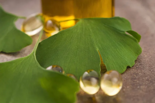 Ginkgo Essential Oil — Stock Photo, Image