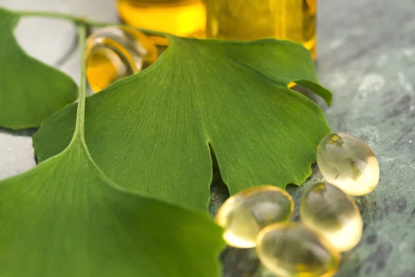 Ginkgo Con Olio Essenziale — Foto Stock