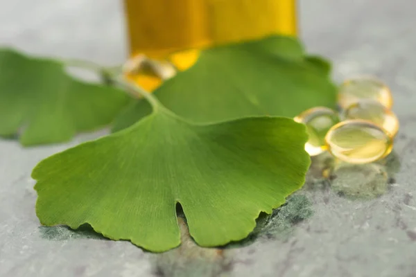 Ginkgo Essential Oil — Stock Photo, Image