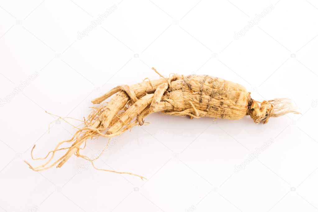 Extract of ginseng root