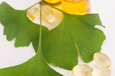 Gerekli yağlı ginkgo