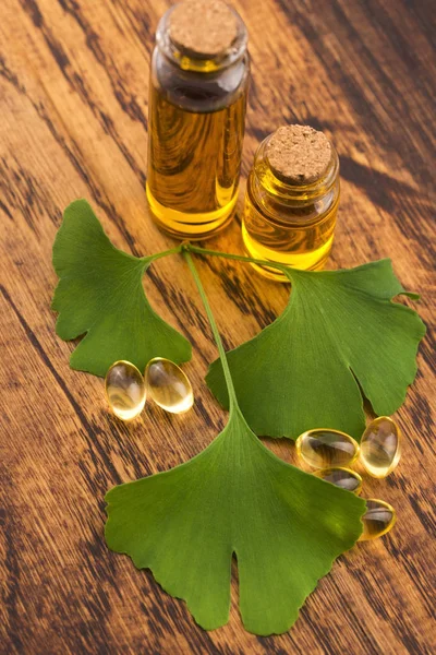 Ginkgo Med Eterisk Olja — Stockfoto