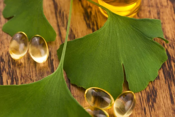 Ginkgo Con Olio Essenziale — Foto Stock