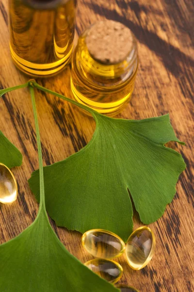 Ginkgo Con Olio Essenziale — Foto Stock