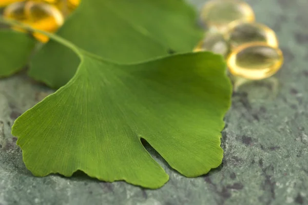 Ginkgo Con Olio Essenziale — Foto Stock