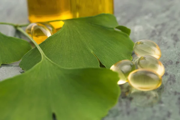 Ginkgo Con Olio Essenziale — Foto Stock