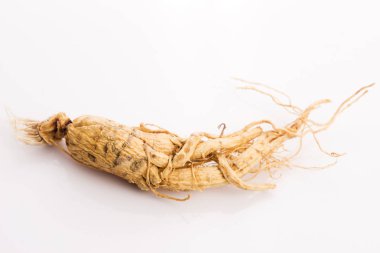 Ginseng kök ekstresi